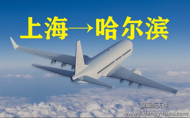 上海到哈尔滨空运