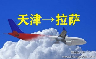 天津滨海机场空运到西藏拉萨_飞机托运